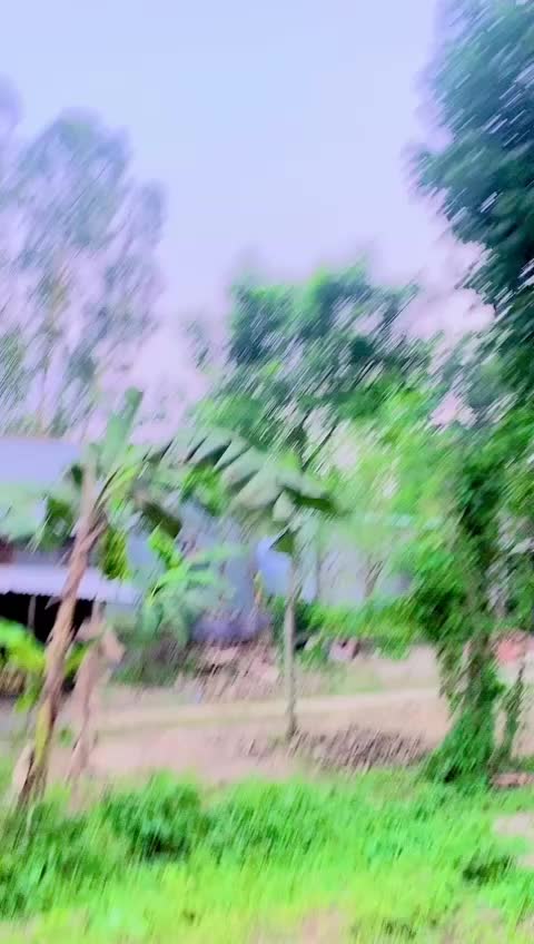 @ḿȡ.šuĵoň ḱẫƿtẫi 2