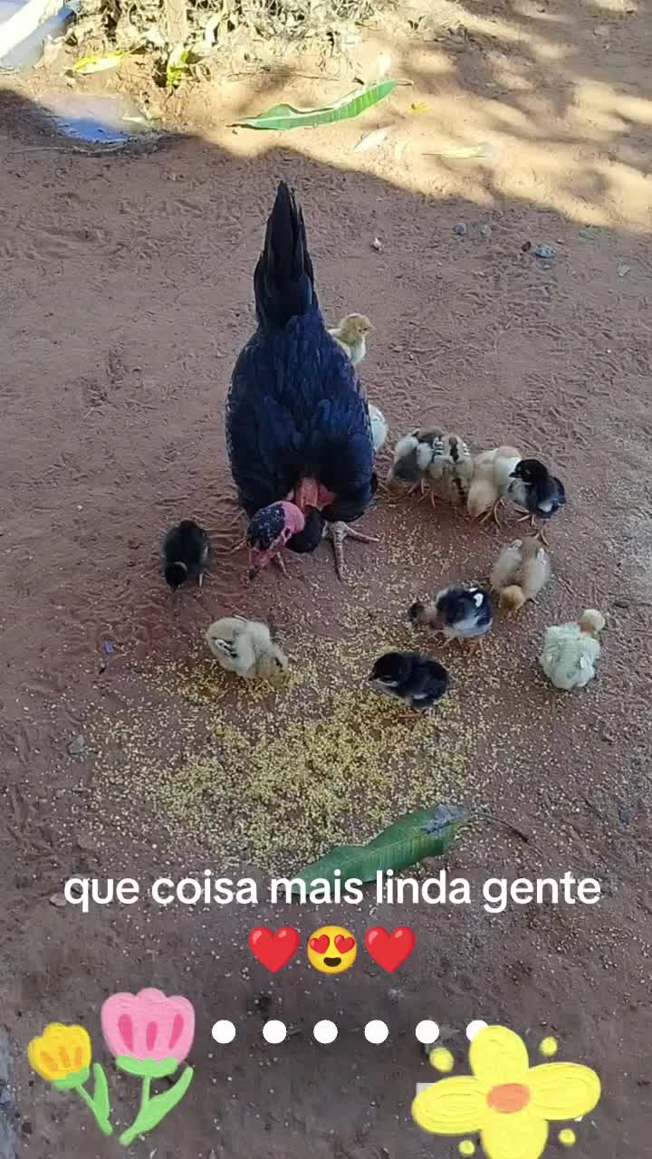 @elis luiza