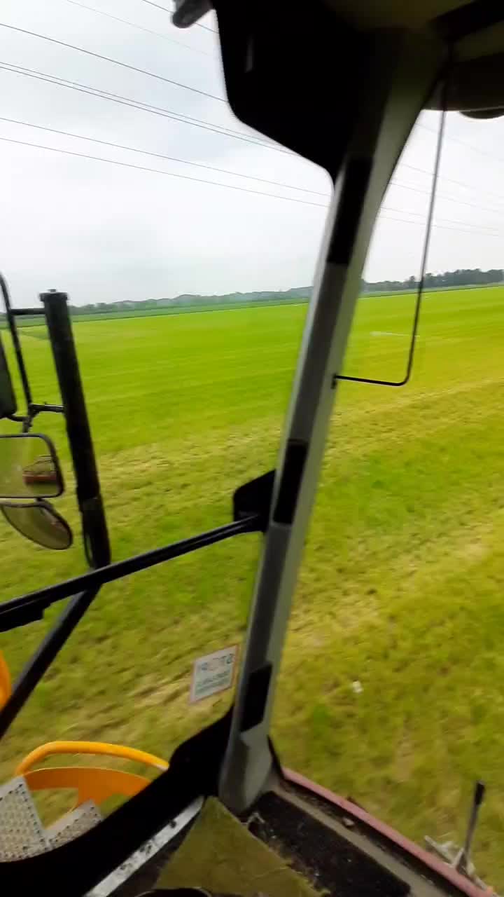@Polleke