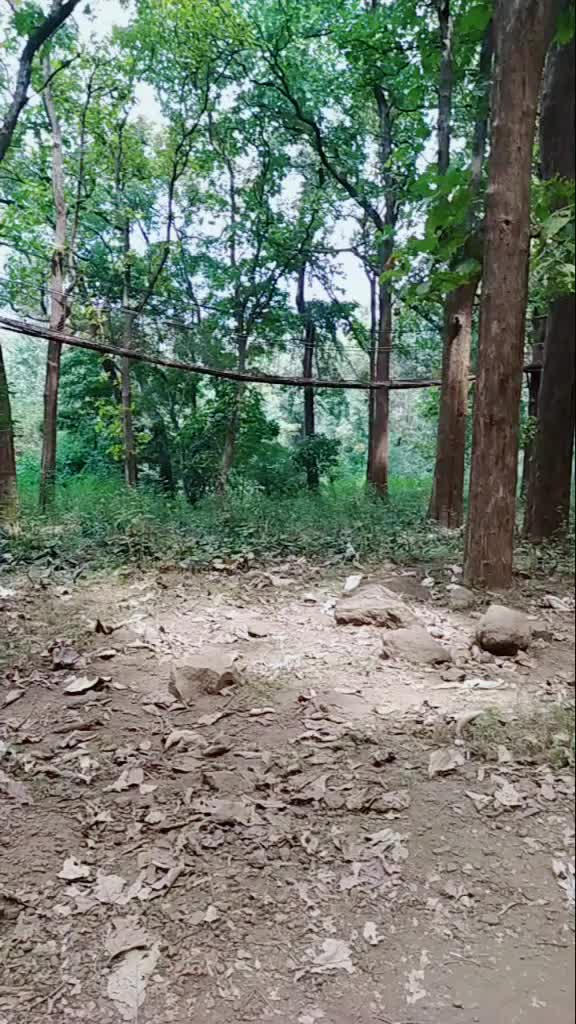 @vamshi 230002