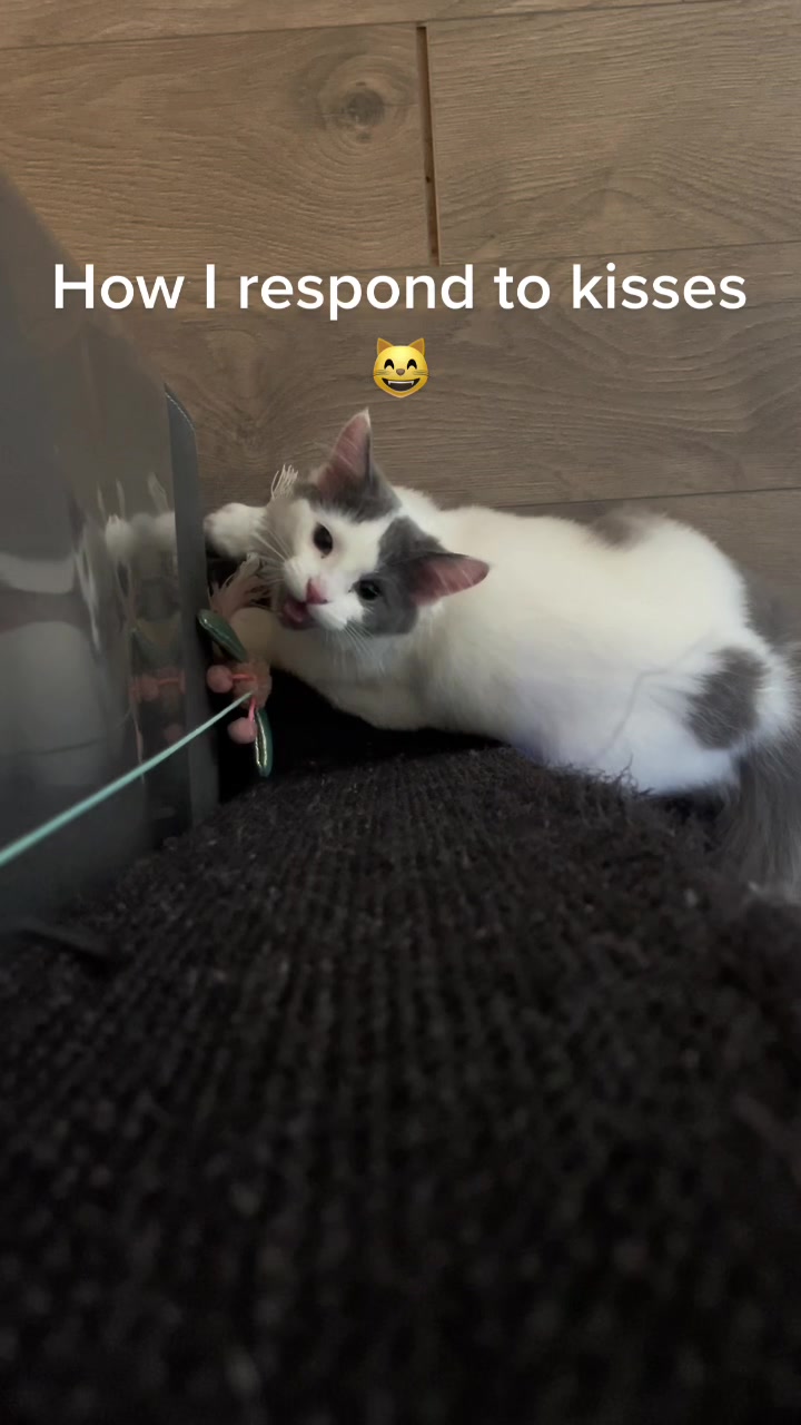 @FerociousRengar