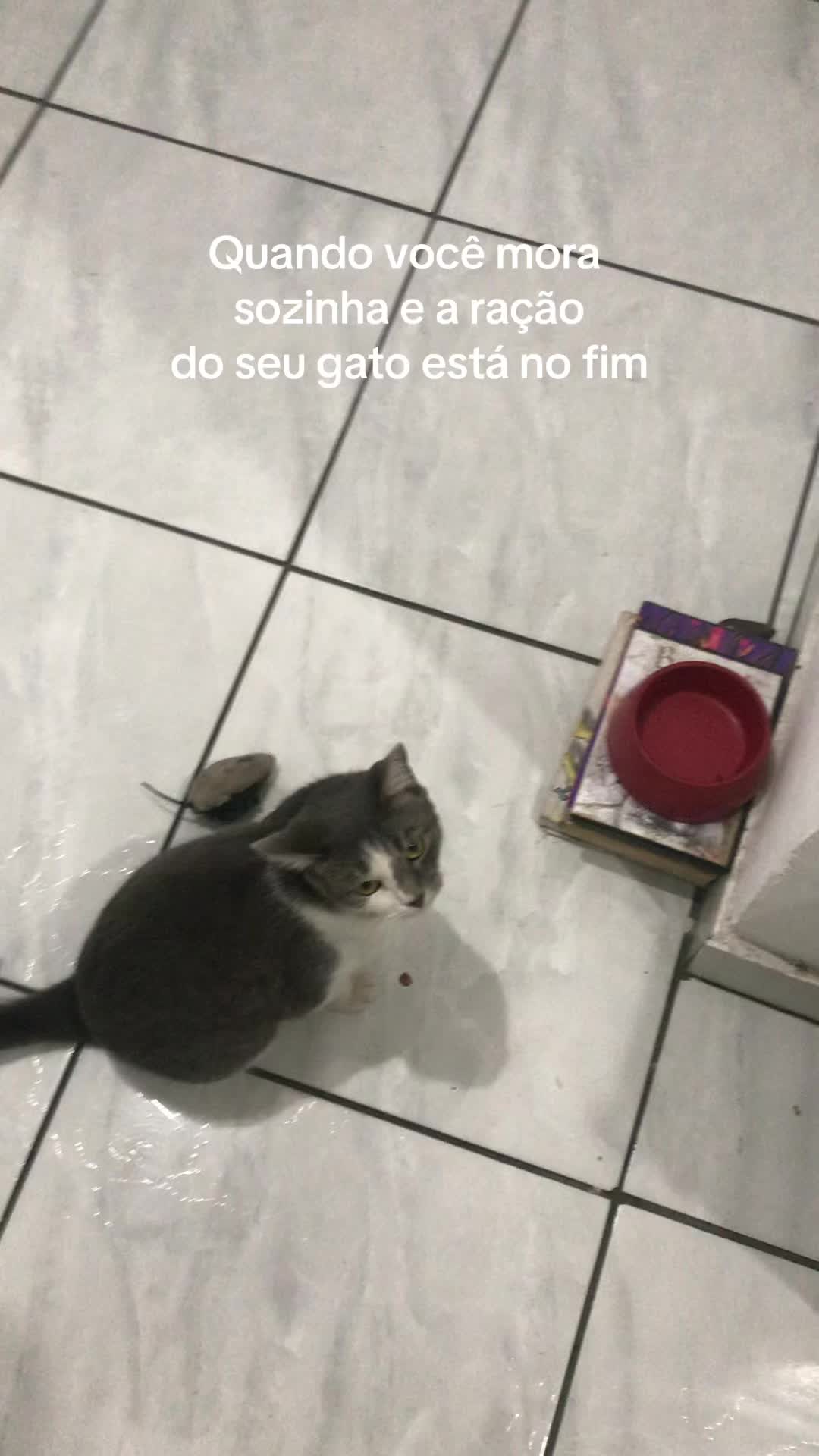 @Iara Ataíde