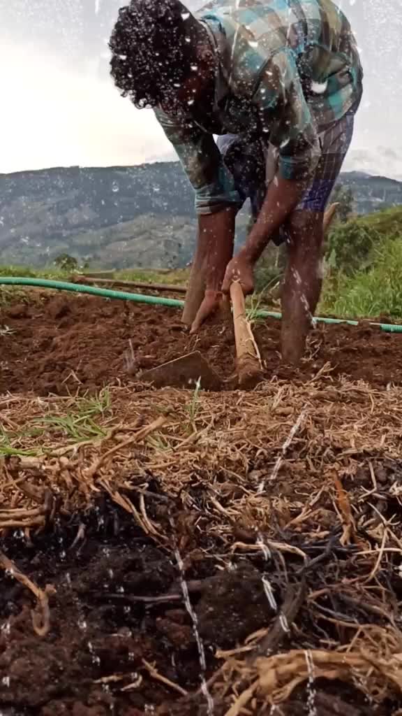 @jegan jp