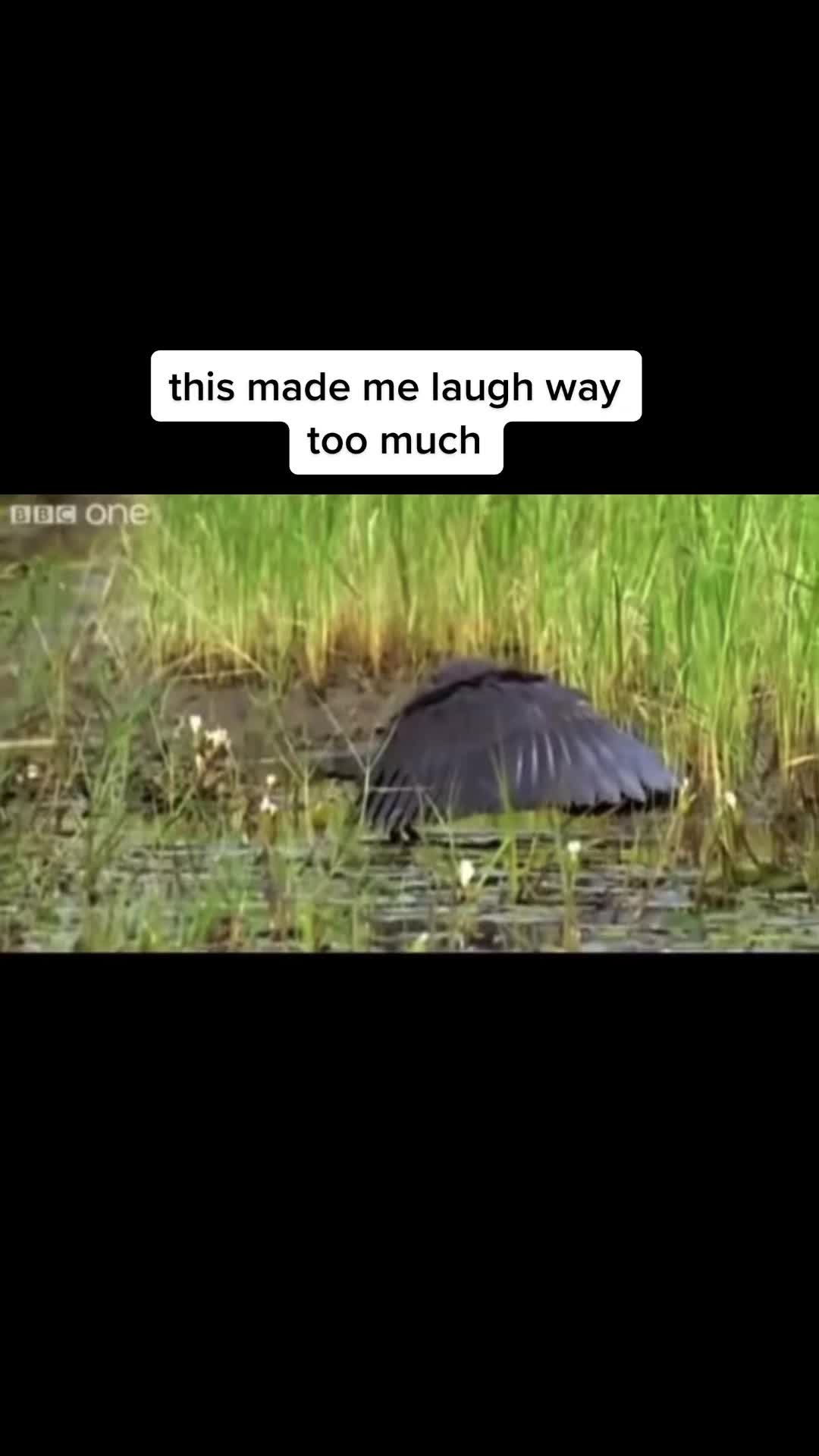 @TinyTina_madness