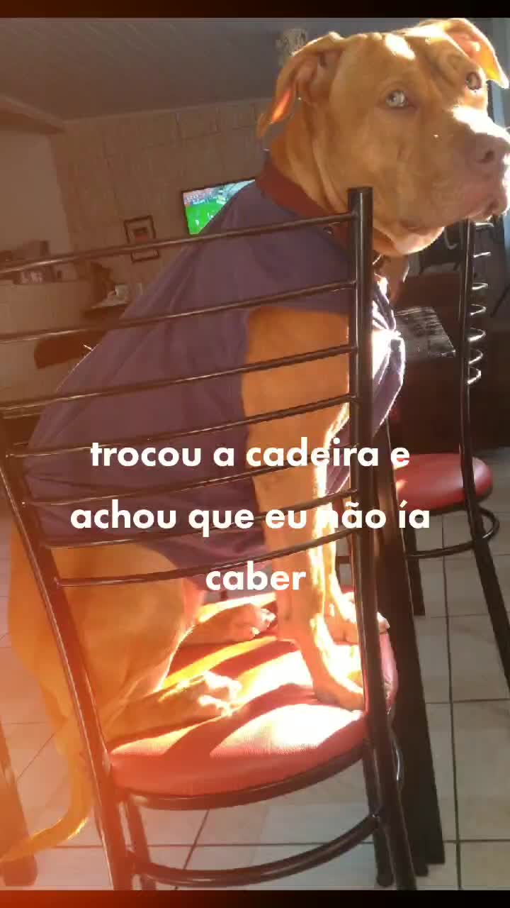 @Alekira