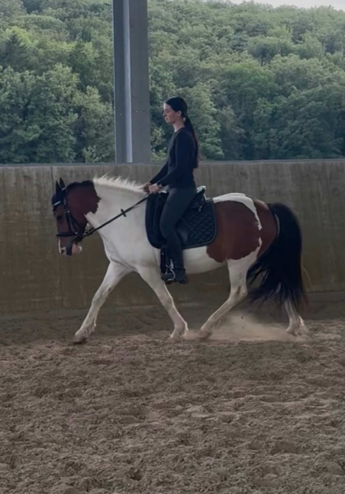 @annalisa.equestrian