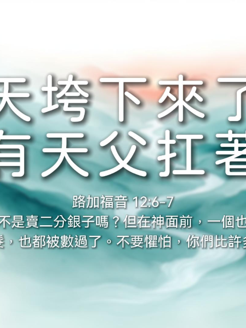 @LFC活力生命