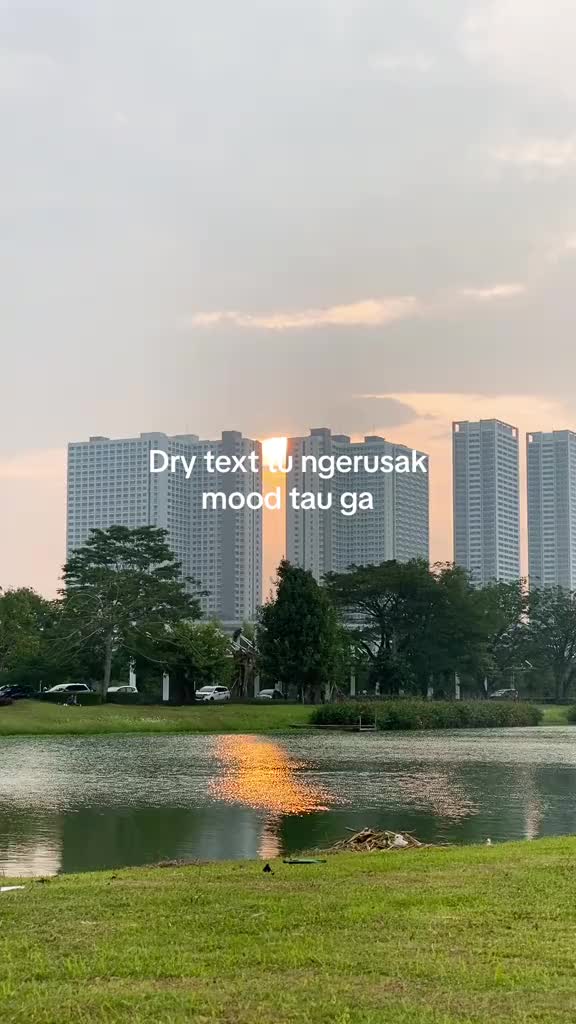 @Yore