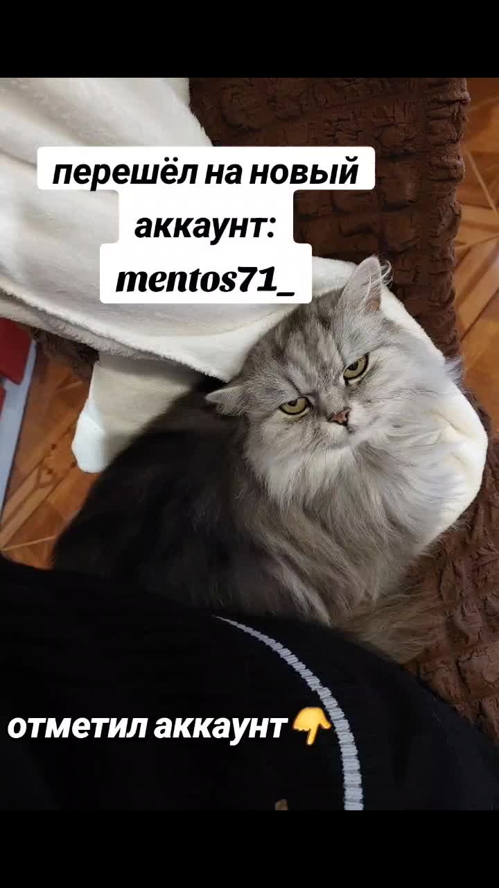 @dodep71