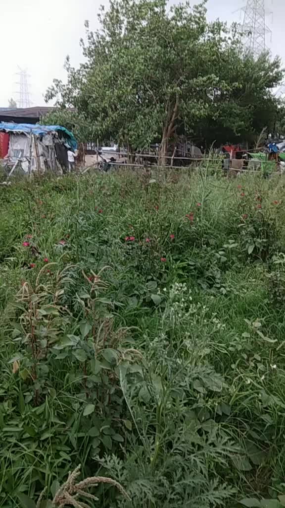 @Vidya Panchal