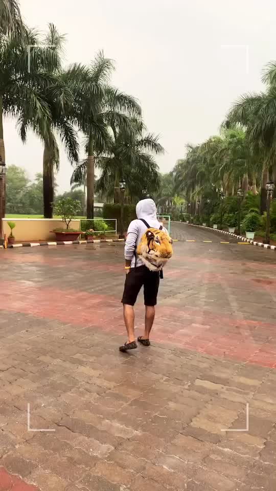@ashutharthare
