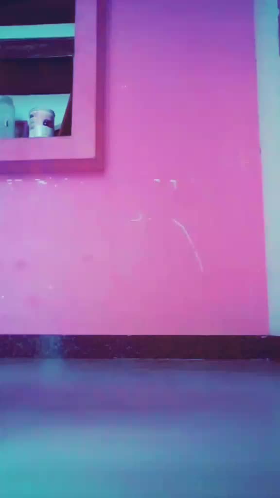 @noblecibiraj8925