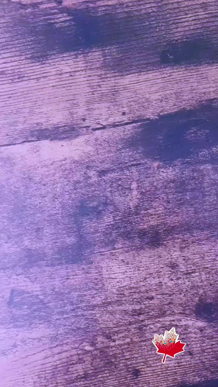 @Cut Vinyl