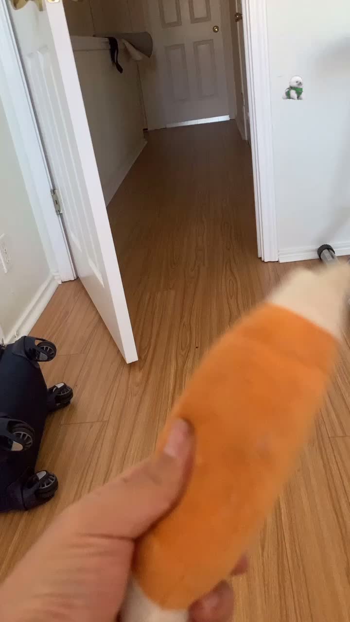 @Itsmisstoffee