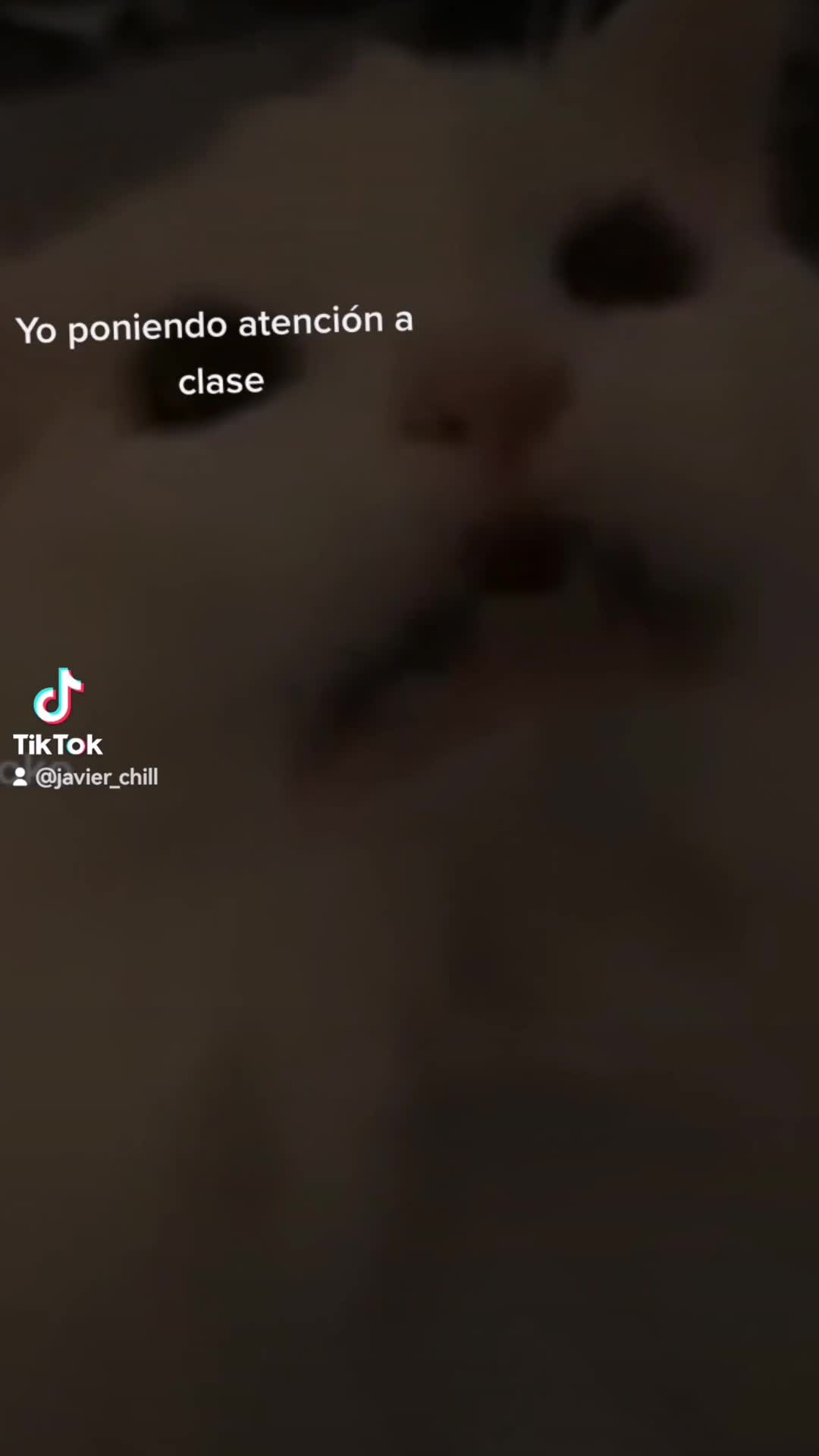 @Javi_zrx7