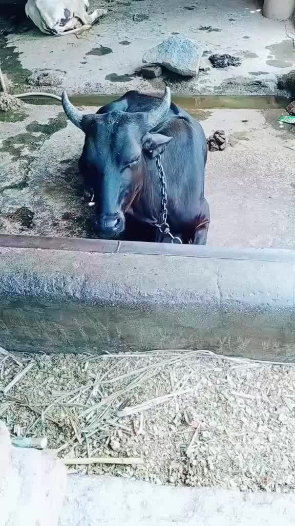 @prabhakarwaghmare15