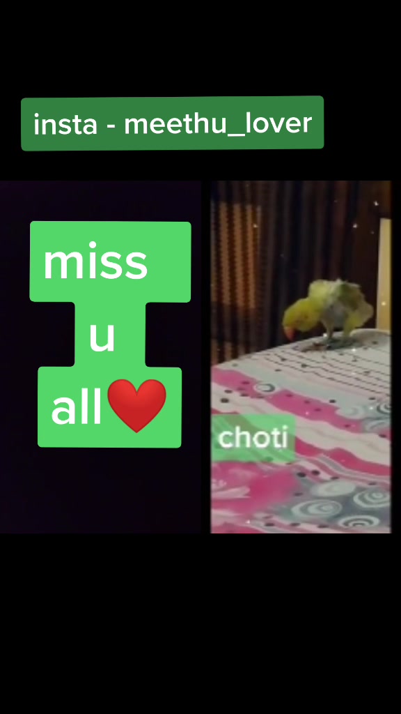 @Muskan Rajpoot