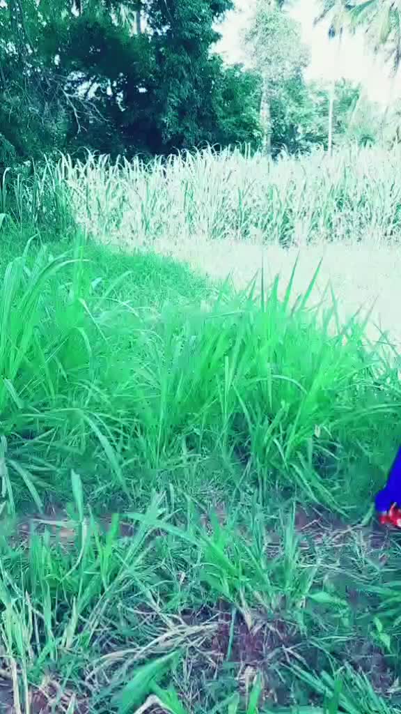@user616263646567