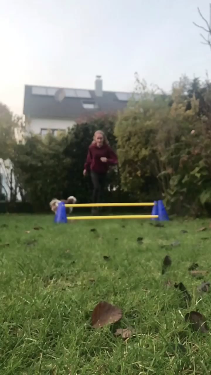 @Engel_auf_4_Pfoten💖