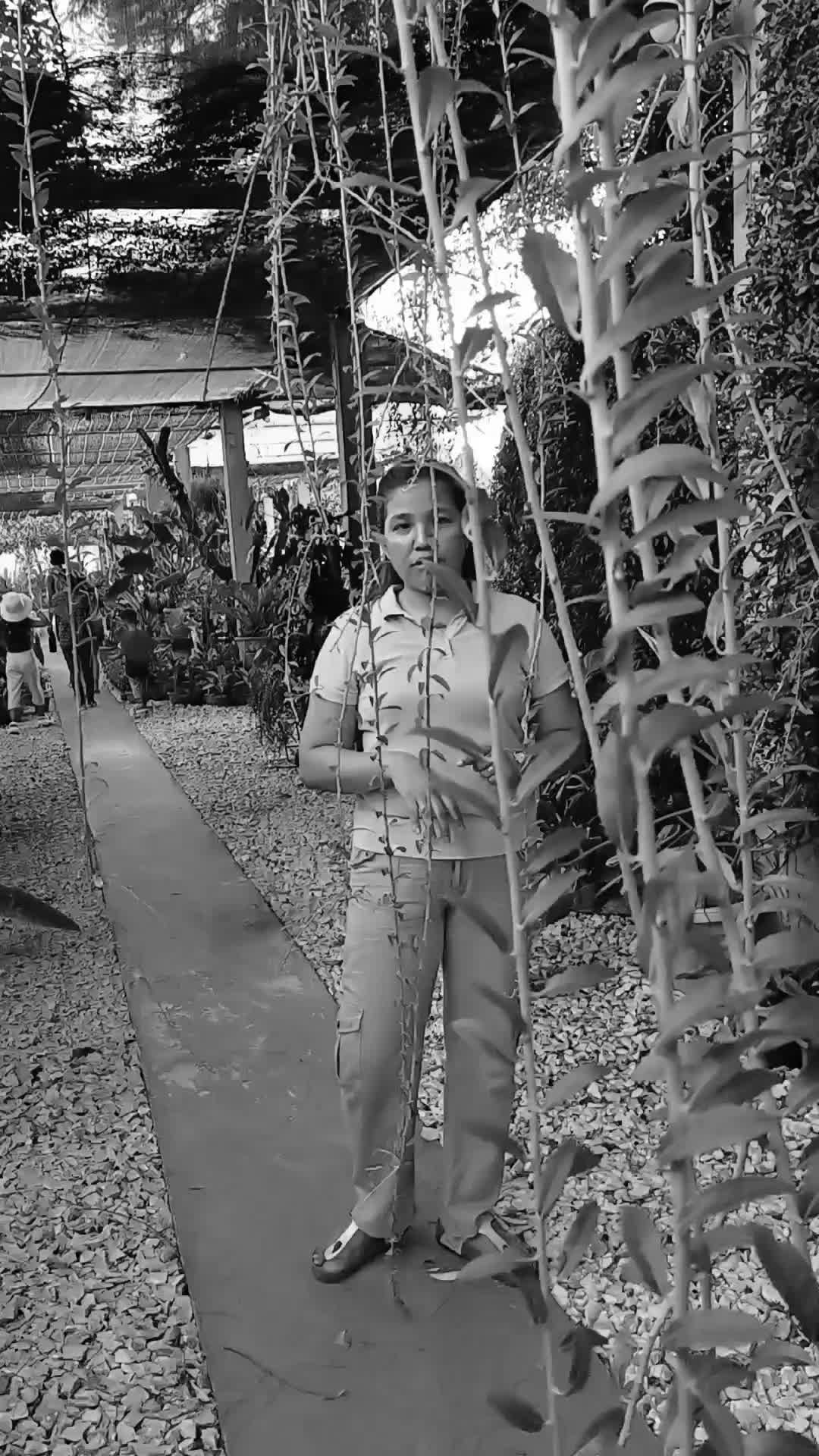 @Joan Mortos