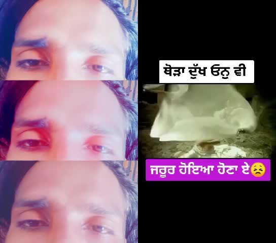@je sai ji ,,786