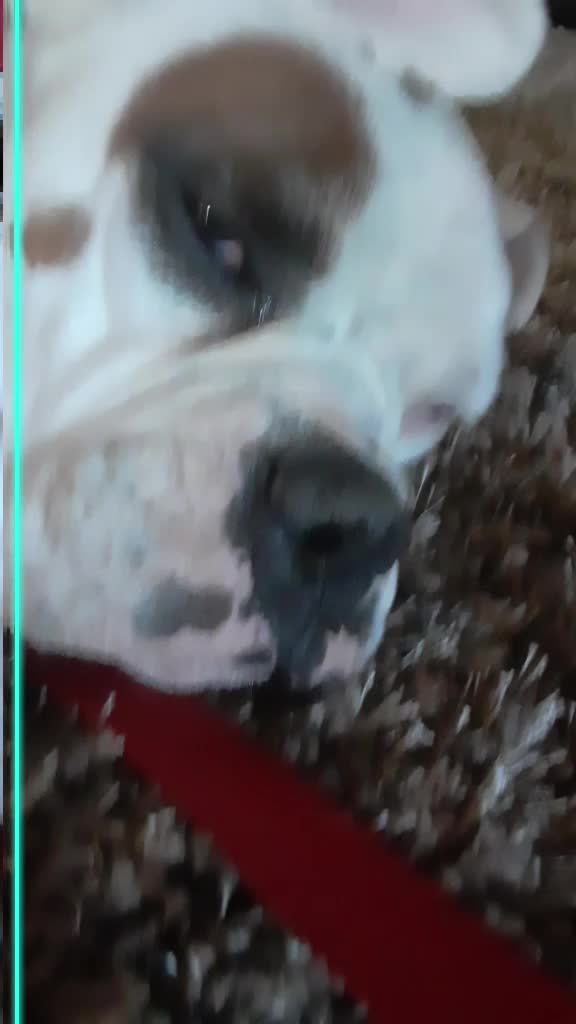@user6410218205985