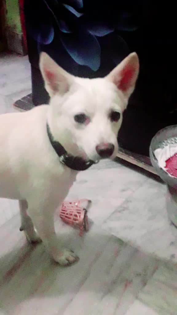 @😍Rowdy eyes killer❤
