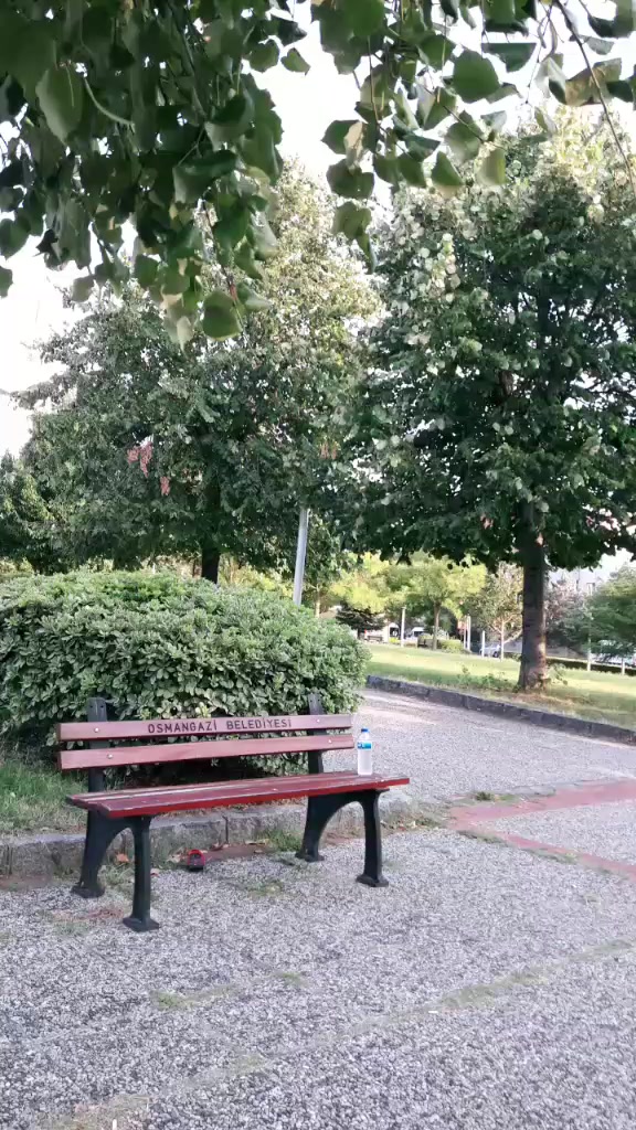 @user173939