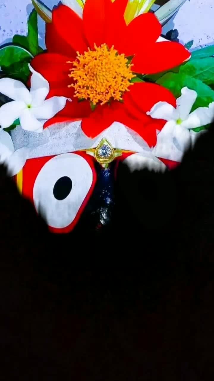 @🙏Jay Jagannath🙏