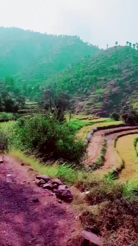 @Kashmir_Dream_land