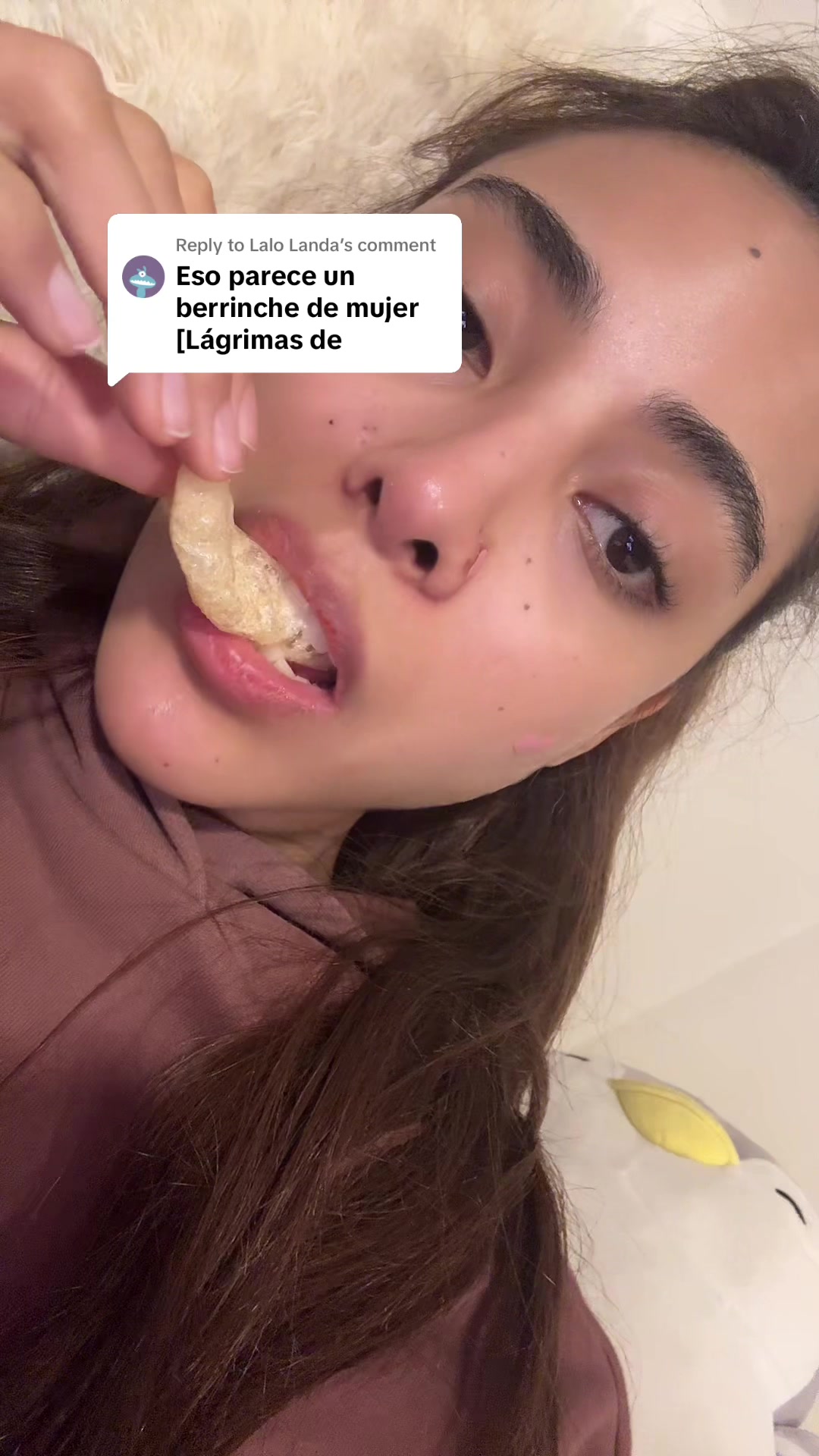 @sofilacuriosaa