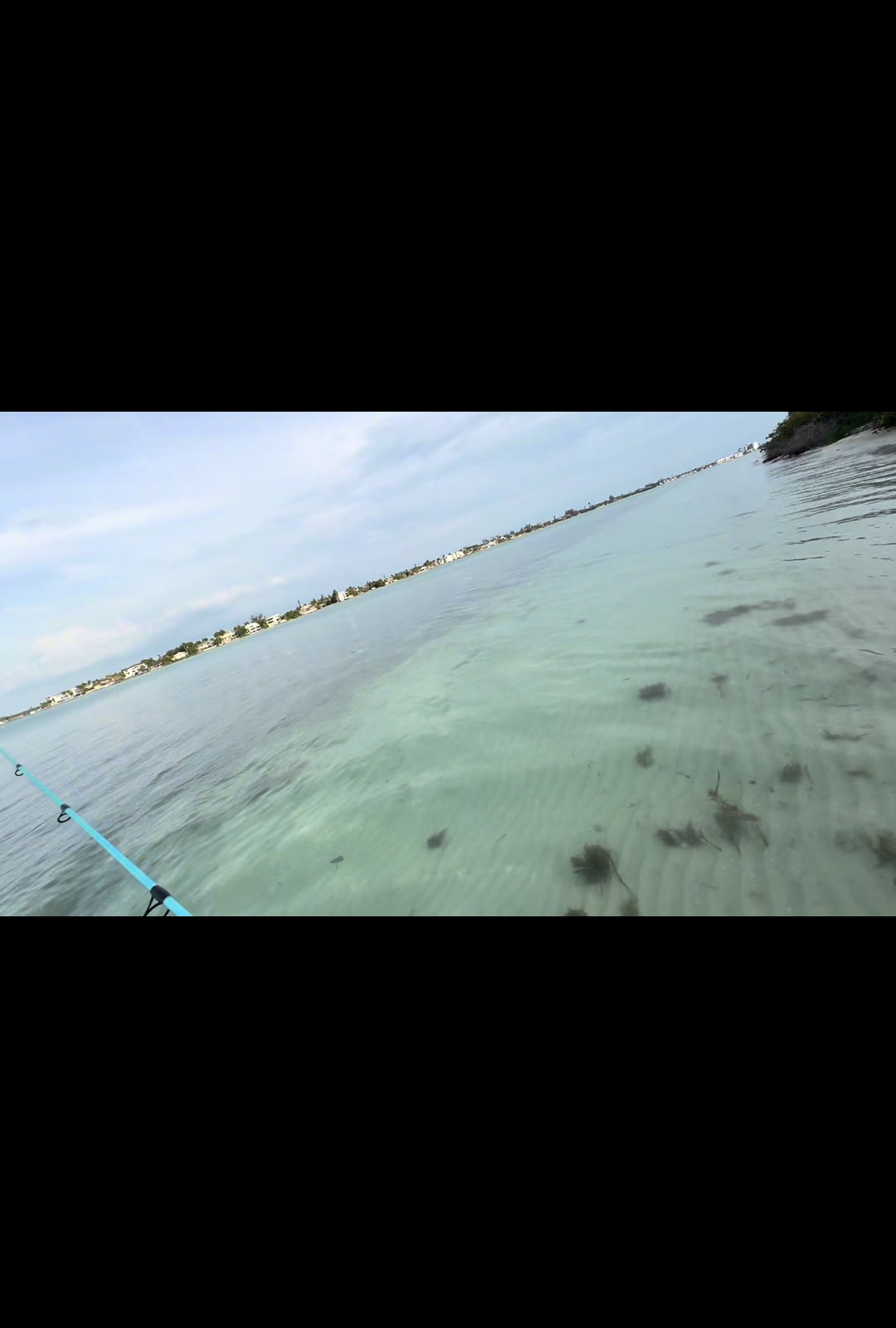 @Gotitfishing