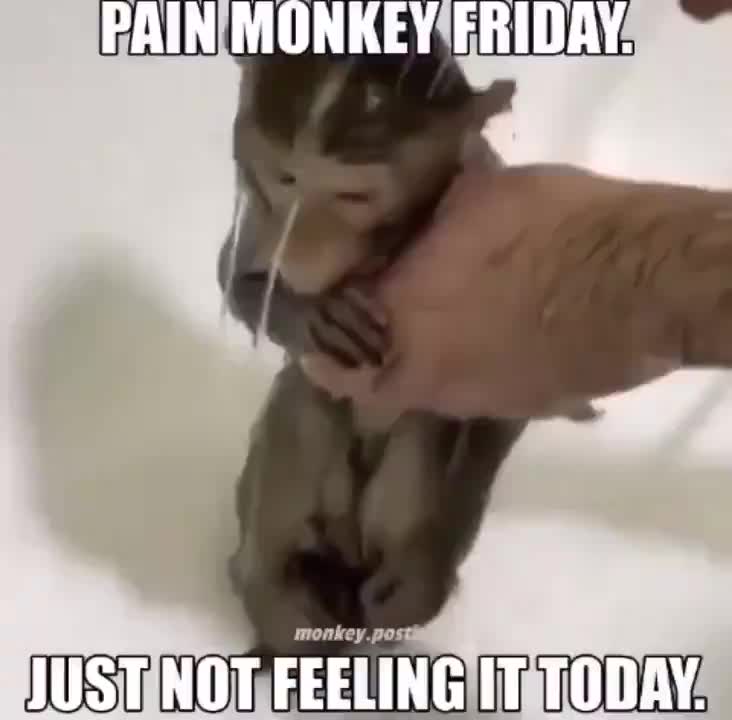 @Jedi Rook