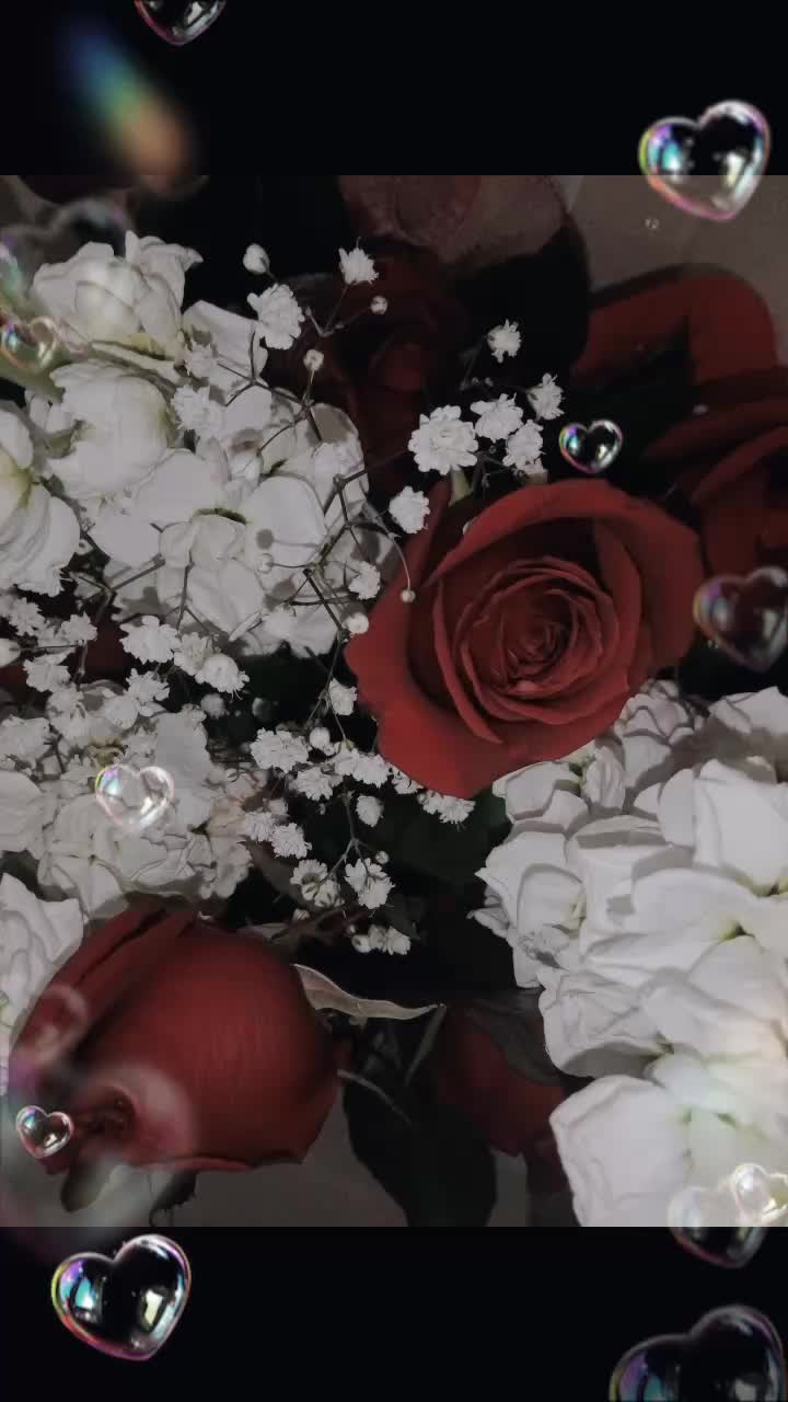@Elisabvl