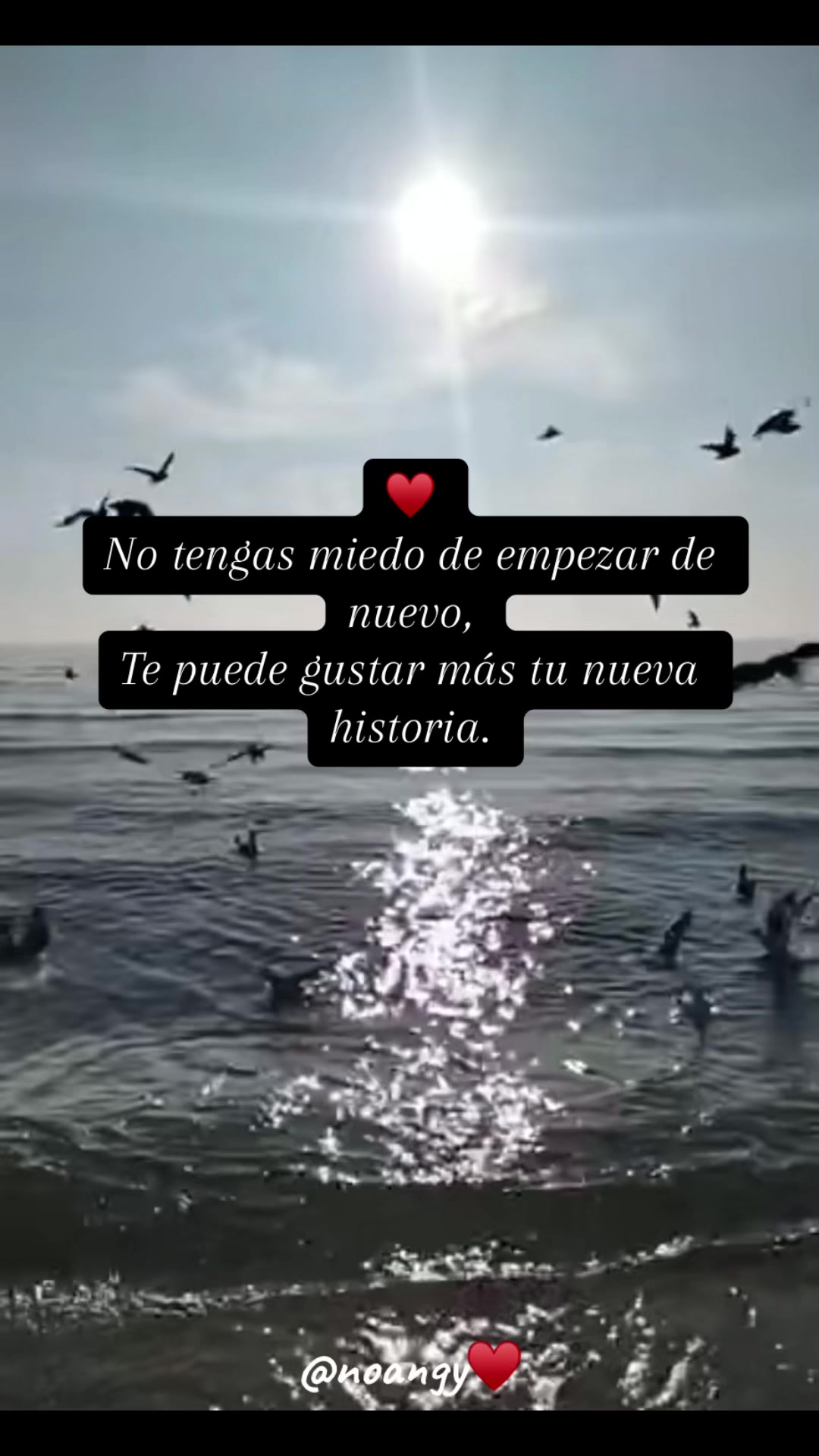 @✨♡︎Regalo de vida♡︎✨