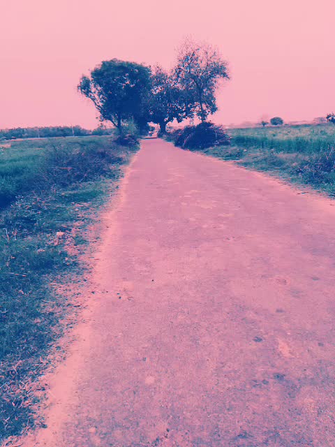 @Himanshu Gola