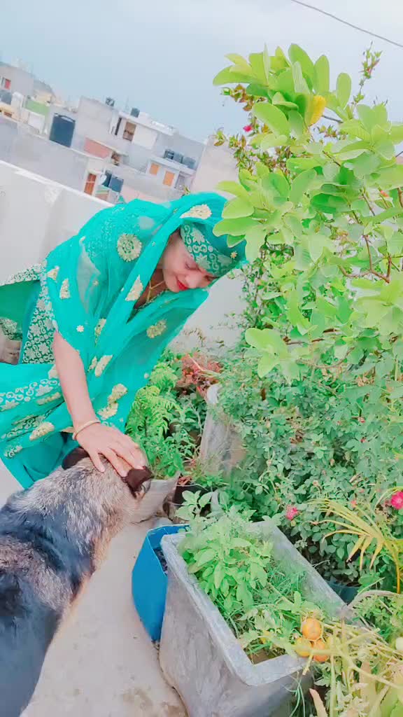 @Yogii Yadav
