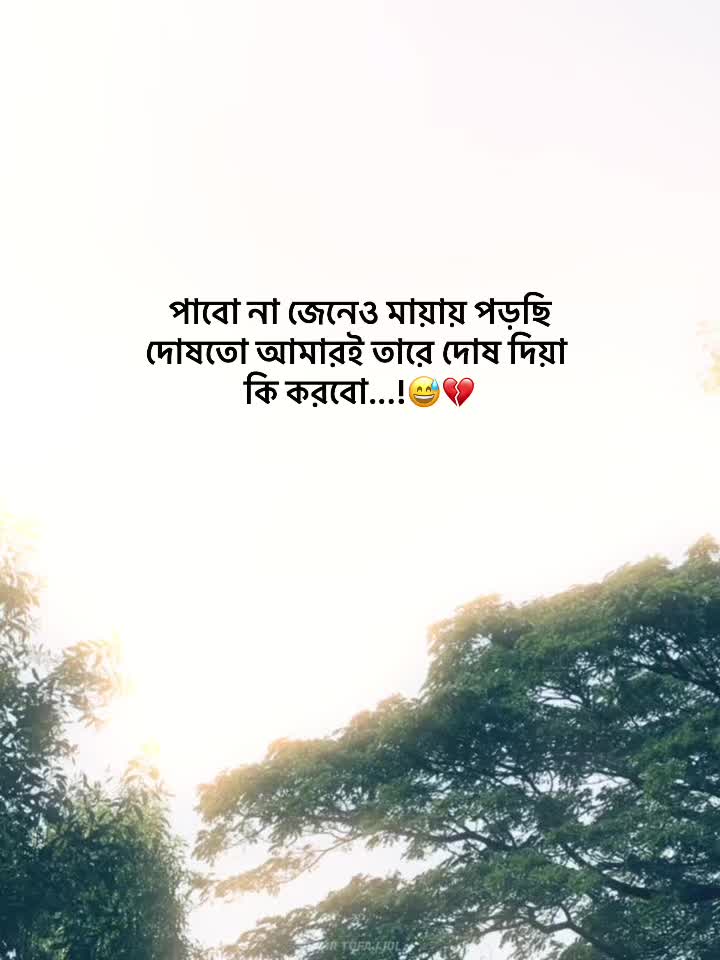 @-ᴅᴀɪꜱʏ-🌼
