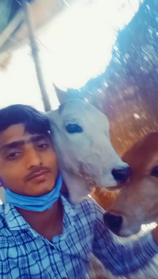 @ghanshyam gaur 15