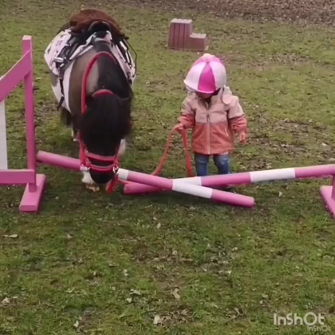 @The Pony Pals Family