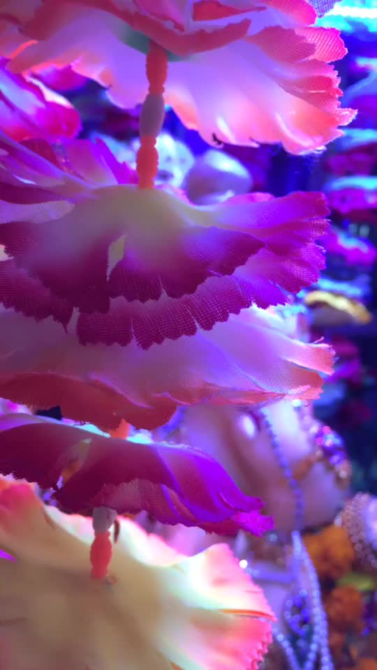 @Shyam Chouhan