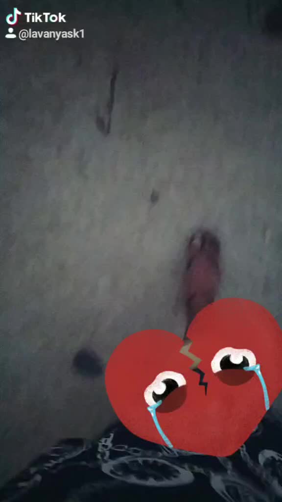 @LAVANYA LAVI👩&zwj;❤️