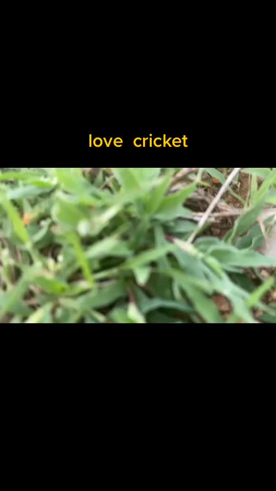 @किशोरदादा
