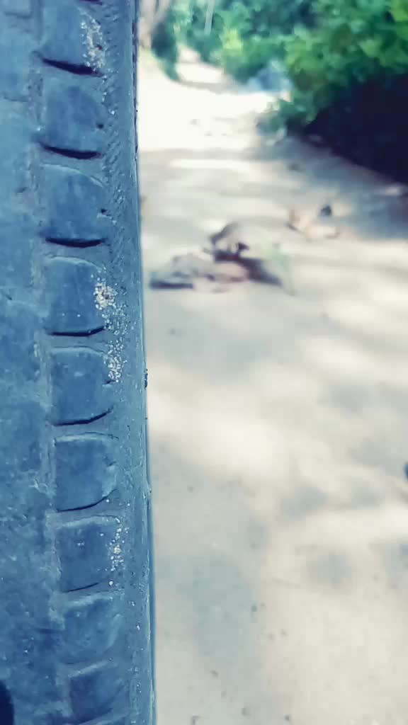 @꧁кคттคłคห꧂