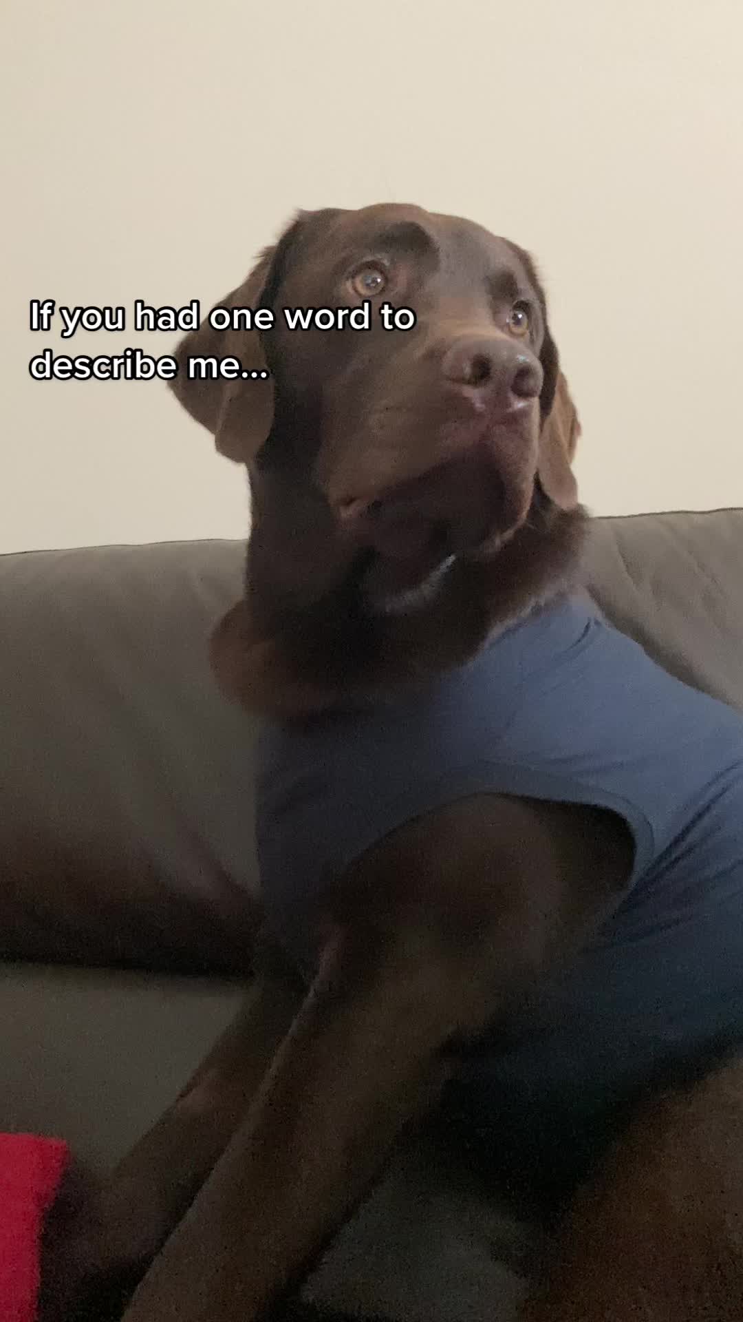 @🐾 𝑻𝒆𝒅𝒅𝒚🐾