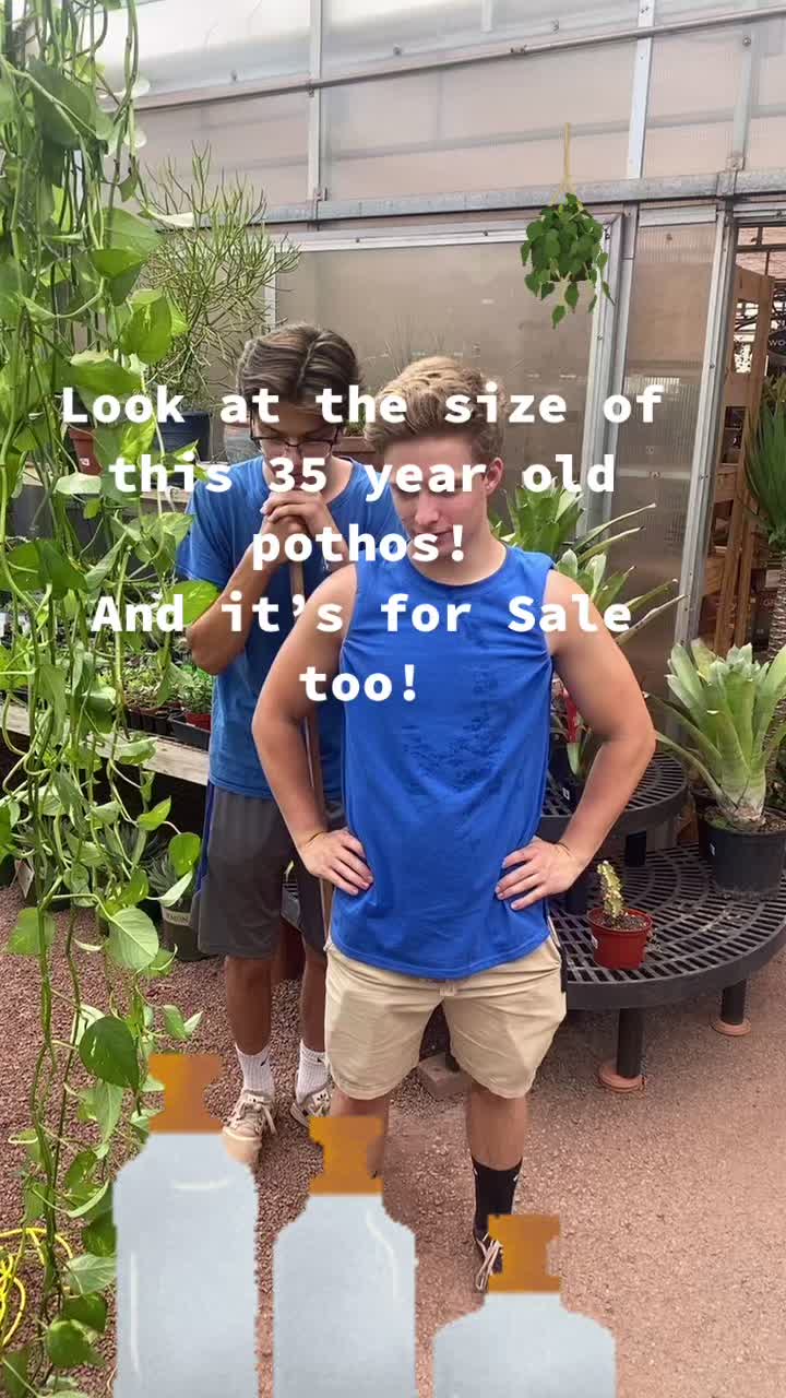 @Plants of Worth