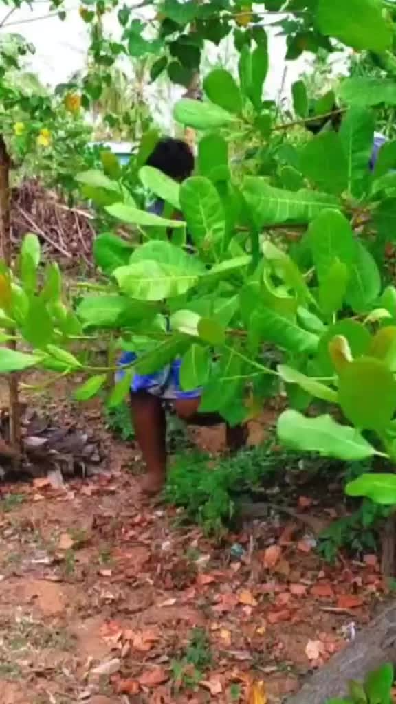 @reshibalan
