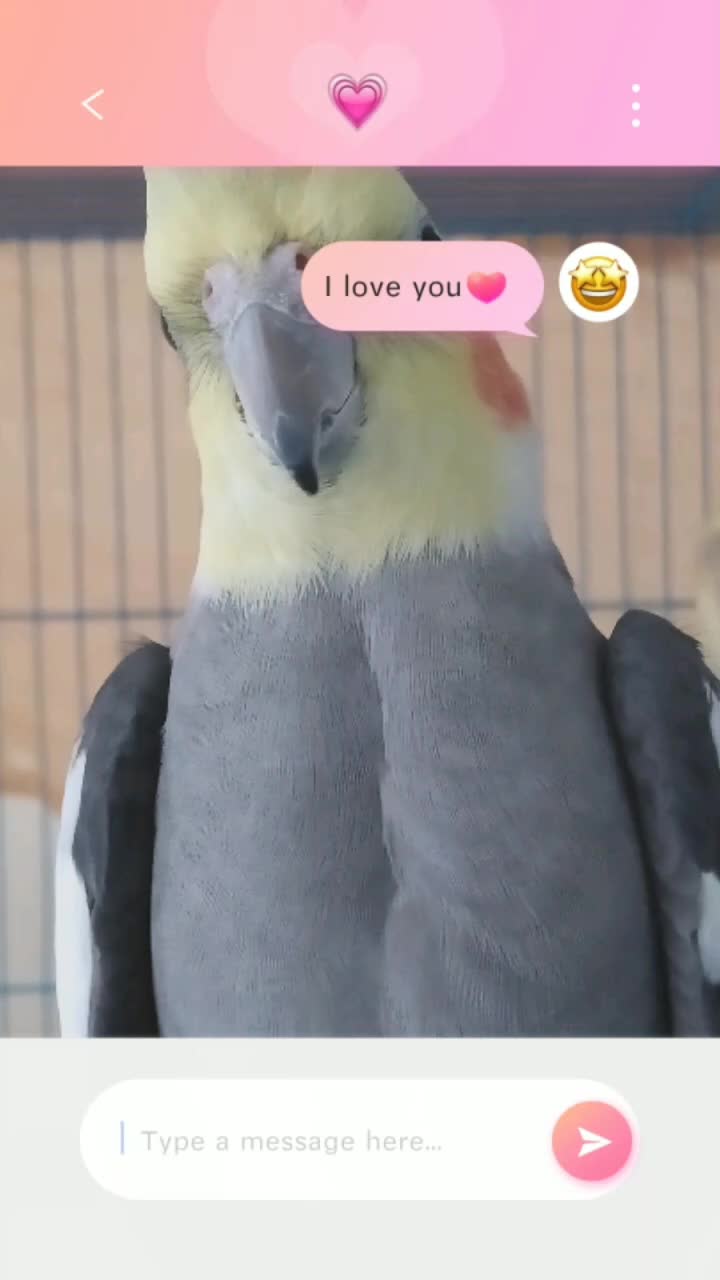 @Aaliash