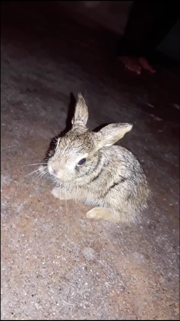 @Shrirsm 786