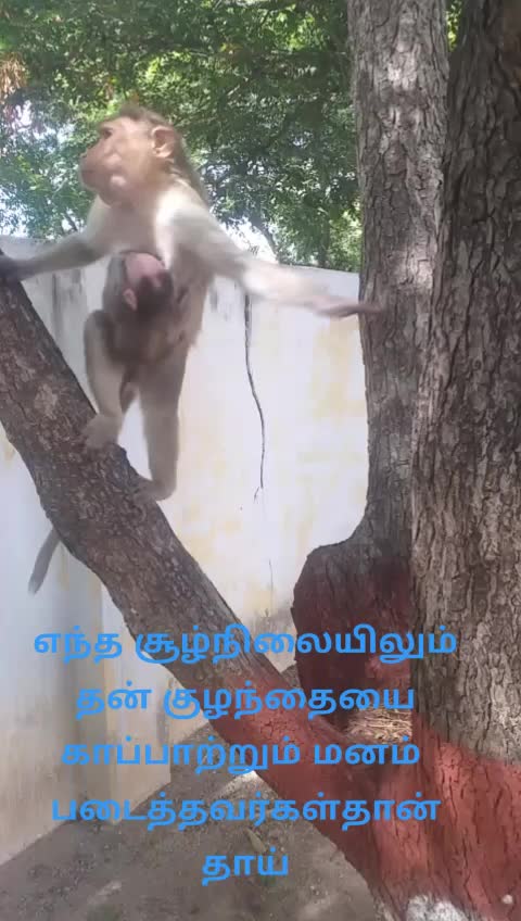@ethartham
